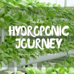 Hydroponic Journey