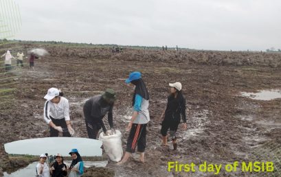MSIB (Certified Independent Study Internship Program) activities