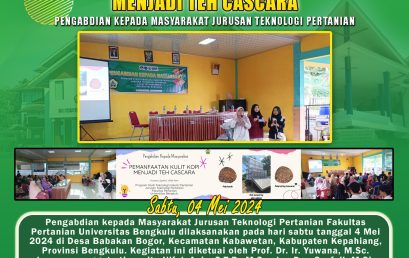 Utilization of Coffee Skin into Cascara Tea by Lecturers of the Department of Agricultural Technology in Babakan Bogor Village