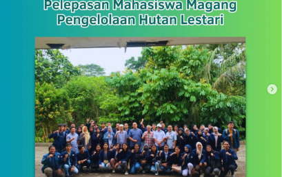 Release of Sustainable Forest Management (PHL) Internship Students