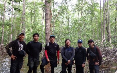 Mangrove Forest Exploration in Banjarsari Village, Enggano Island