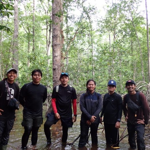 Mangrove Forest Exploration in Banjarsari Village, Enggano Island
