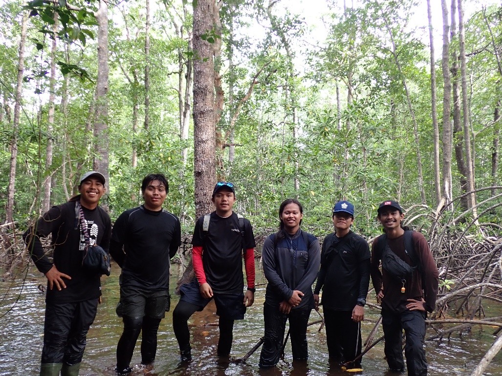 Mangrove Forest Exploration in Banjarsari Village, Enggano Island