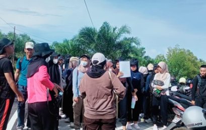 Exploring the Mangrove Ecosystem: Marine Science Students Conduct Field Practicum on Food Chains in Kampong Bahari
