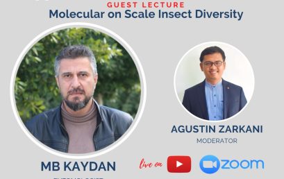 GUEST LECTURE MOLECULAR ON SCALE INSECT DIVERSITY