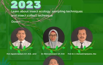 INSECT COURSE