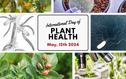 International Day Of Plant Health