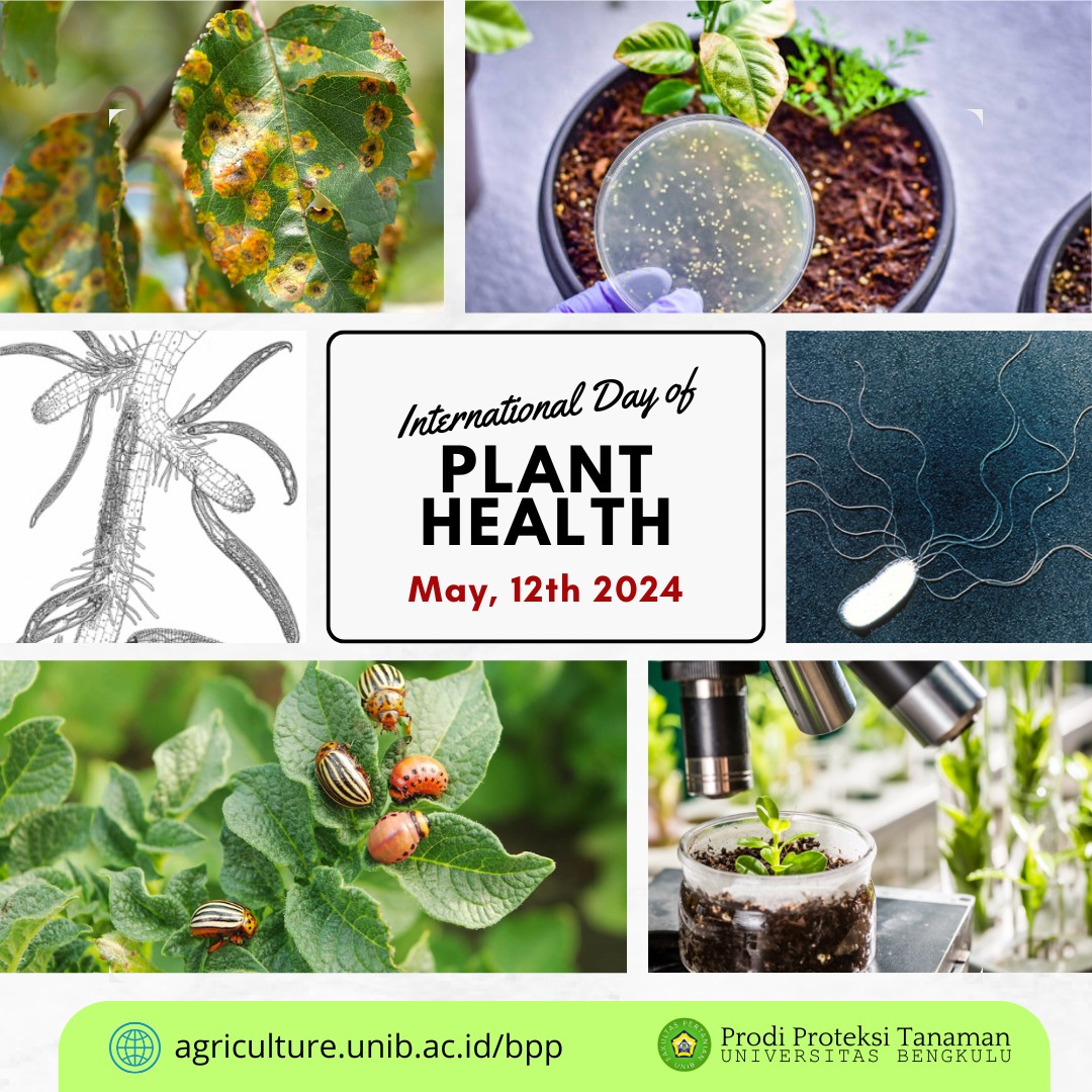 International Day Of Plant Health International Day Of Plant Health