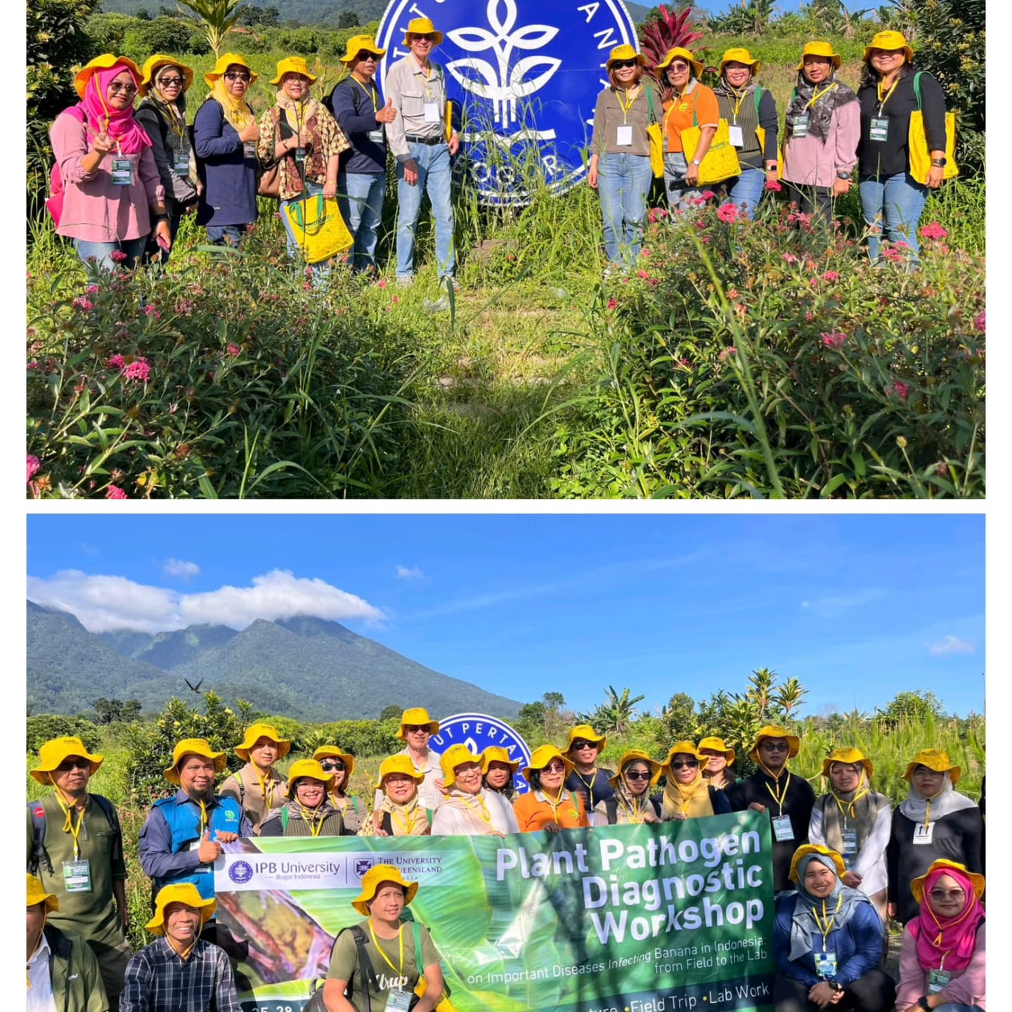 UNIB PROTECTION LECTURER PARTICIPATES IN THE IPB PROTECTION WORKSHOP