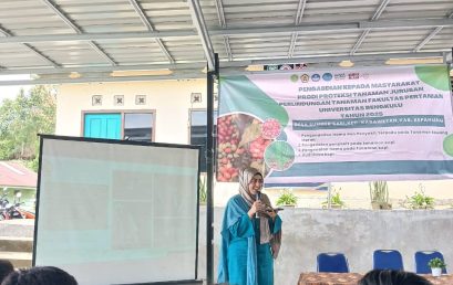 Pakistani PhD Students Introduce Mealybug Identification to Farmers in Sumber Sari
