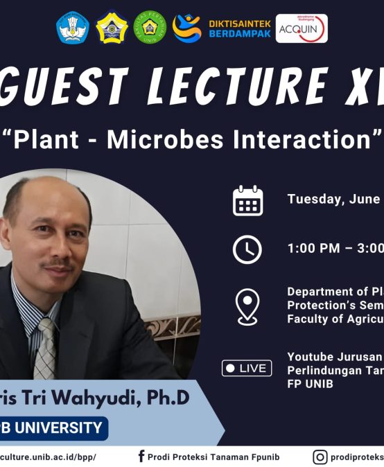 Guest Lecture XV