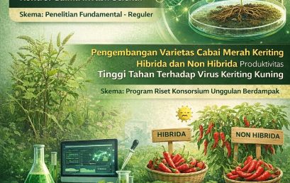 MAHASISWA PROTEKSI TANAMAN KEMBANGKAN RISET INOVATIF DI BIDANG BIOHERBISIDA DAN VARIETAS CABAI TAHAN VIRUS