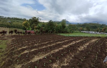 Soil science students join field trip