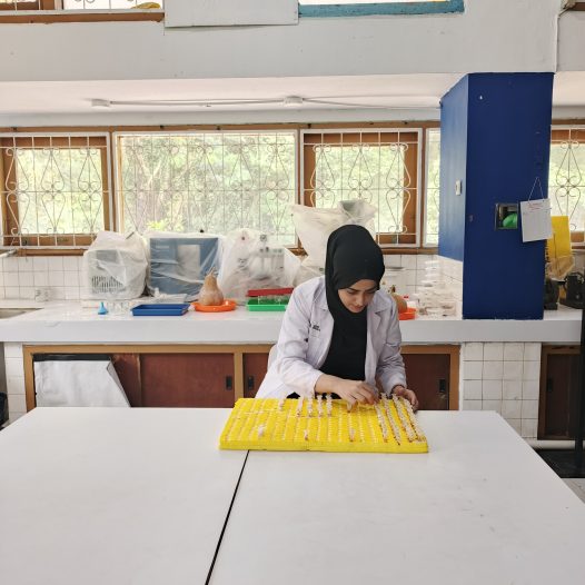 Ms. Mehreen Ayaz Receives Competitive National Research Award for Doctoral Dissertation Research (PDD) 2026