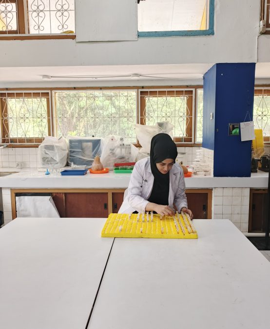 Ms. Mehreen Ayaz Receives Competitive National Research Award for Doctoral Dissertation Research (PDD) 2026