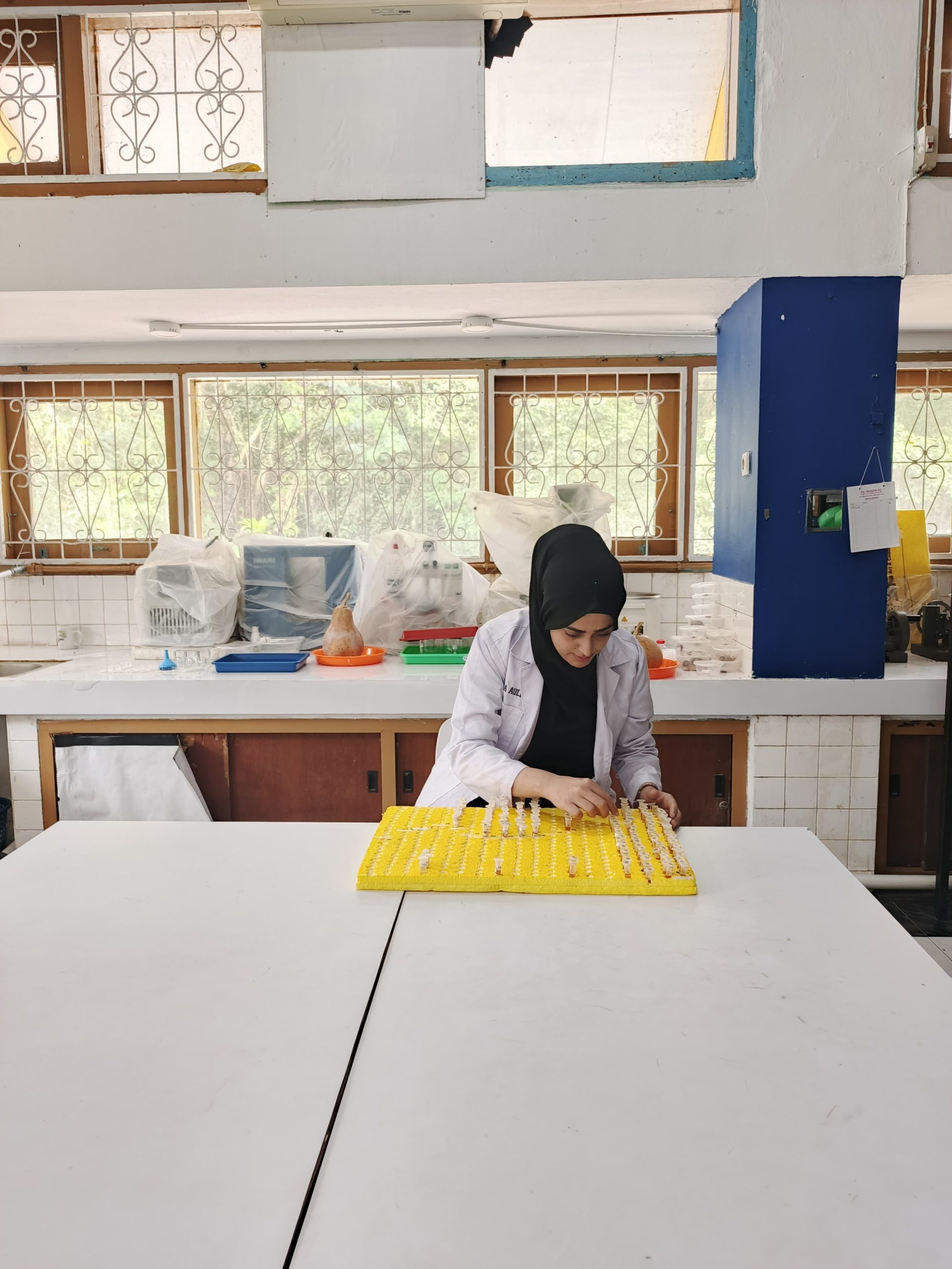 Ms. Mehreen Ayaz Receives Competitive National Research Award for Doctoral Dissertation Research (PDD) 2026