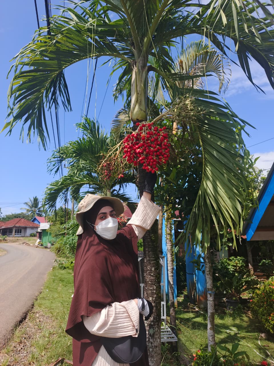UNIB International PhD Student Maps Mealybug Diversity on Oil Palms Across Various Regions of Bengkulu Province UNIB International PhD Student Maps Mealybug Diversity on Oil Palms Across Various Regions of Bengkulu Province