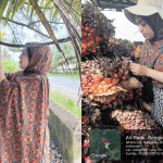 UNIB International PhD Student Maps Mealybug Diversity on Oil Palms Across Various Regions of Bengkulu Province
