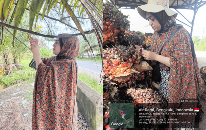 UNIB International PhD Student Maps Mealybug Diversity on Oil Palms Across Various Regions of Bengkulu Province