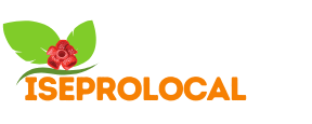 Flyer (Timeline & Scope) - iseprolocal