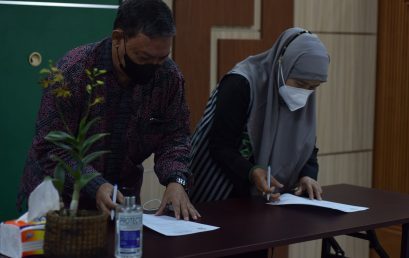 Employment Contract