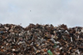 Pentingnya Pemilahan Sampah (The Importance of Waste Sorting)