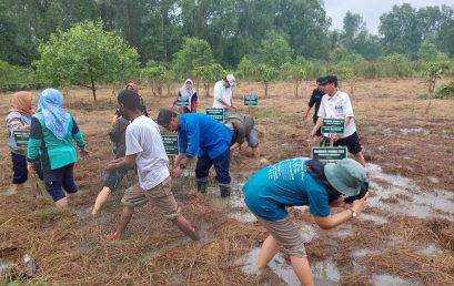Mangrove planting in the Proboscis Monkey (Bekantan) Conservation and Mangrove Park on Curiak Island, South Kalimantan