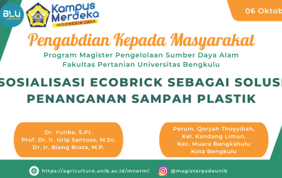 Ecobrick Socialization as a Solution for Plastic Waste Management