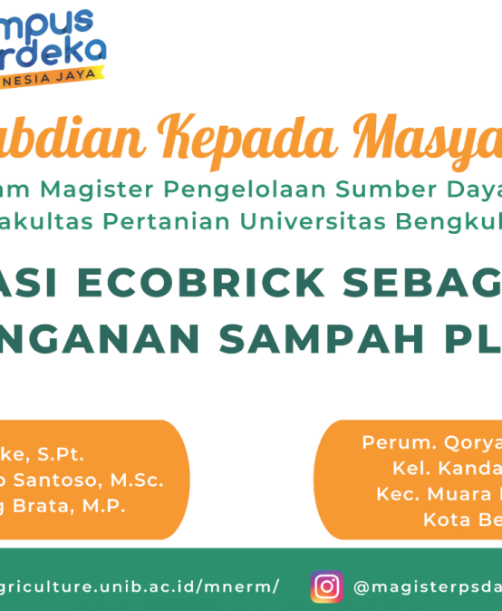 Ecobrick Socialization as a Solution for Plastic Waste Management